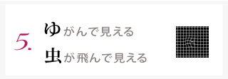 ゆがんで見える　虫が飛んで見える